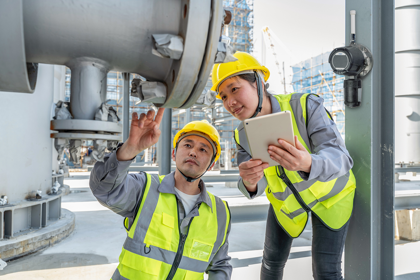 Fixed Gas and Flame Detectors